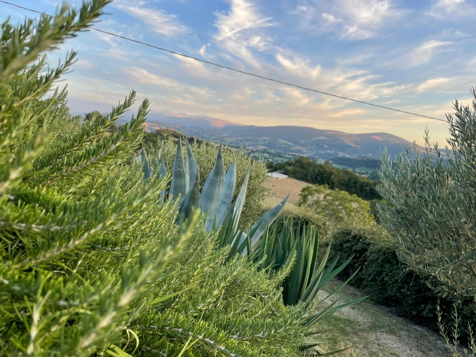 Agriturismo Villa Rosetta San Severino Marche Zewnętrze zdjęcie