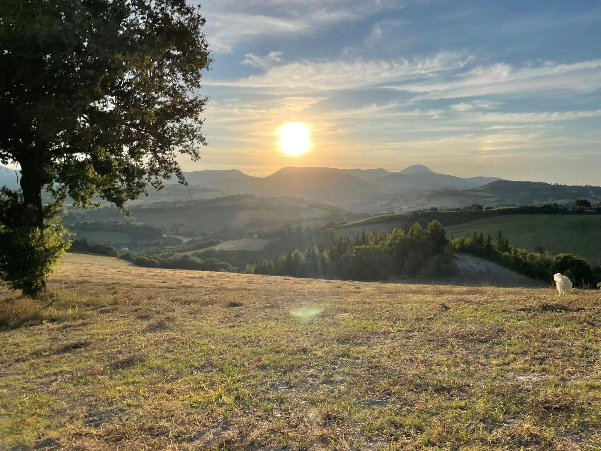 Agriturismo Villa Rosetta San Severino Marche Zewnętrze zdjęcie