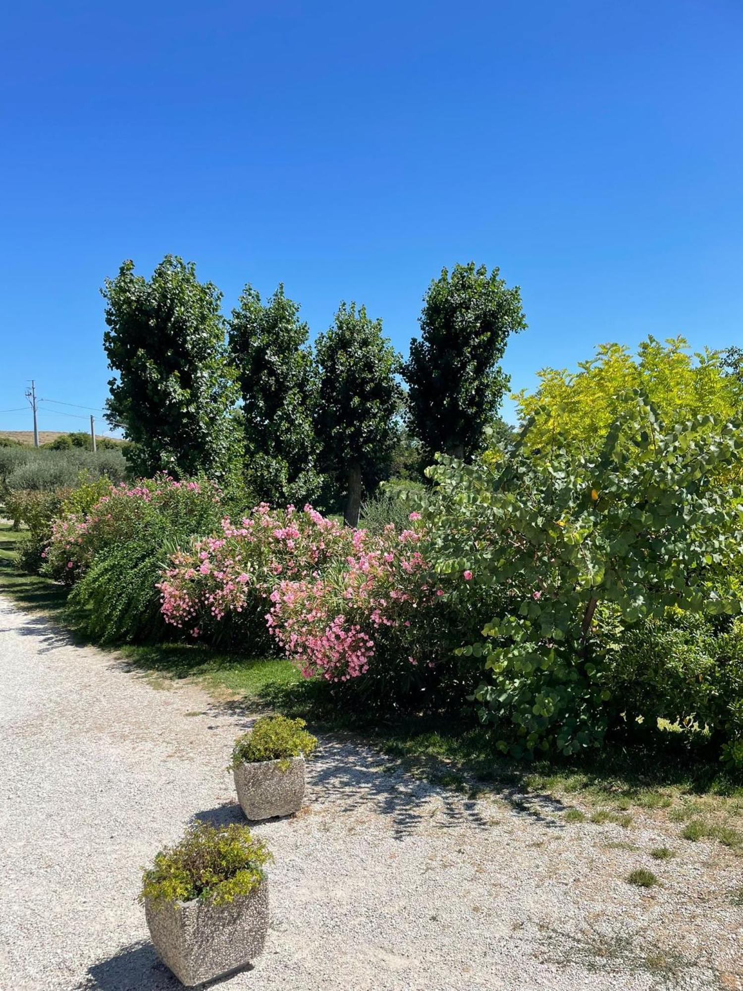 Agriturismo Villa Rosetta San Severino Marche Zewnętrze zdjęcie