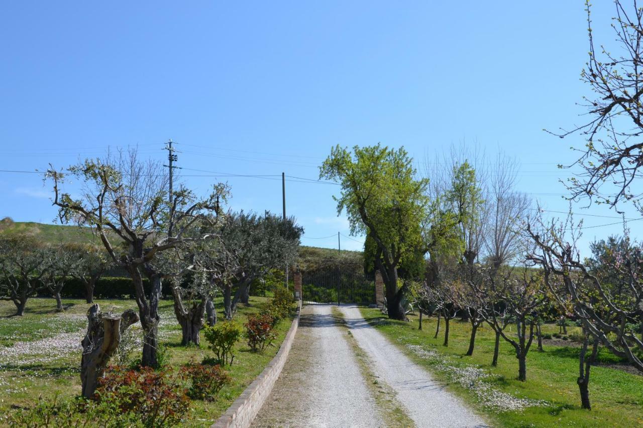 Agriturismo Villa Rosetta San Severino Marche Zewnętrze zdjęcie