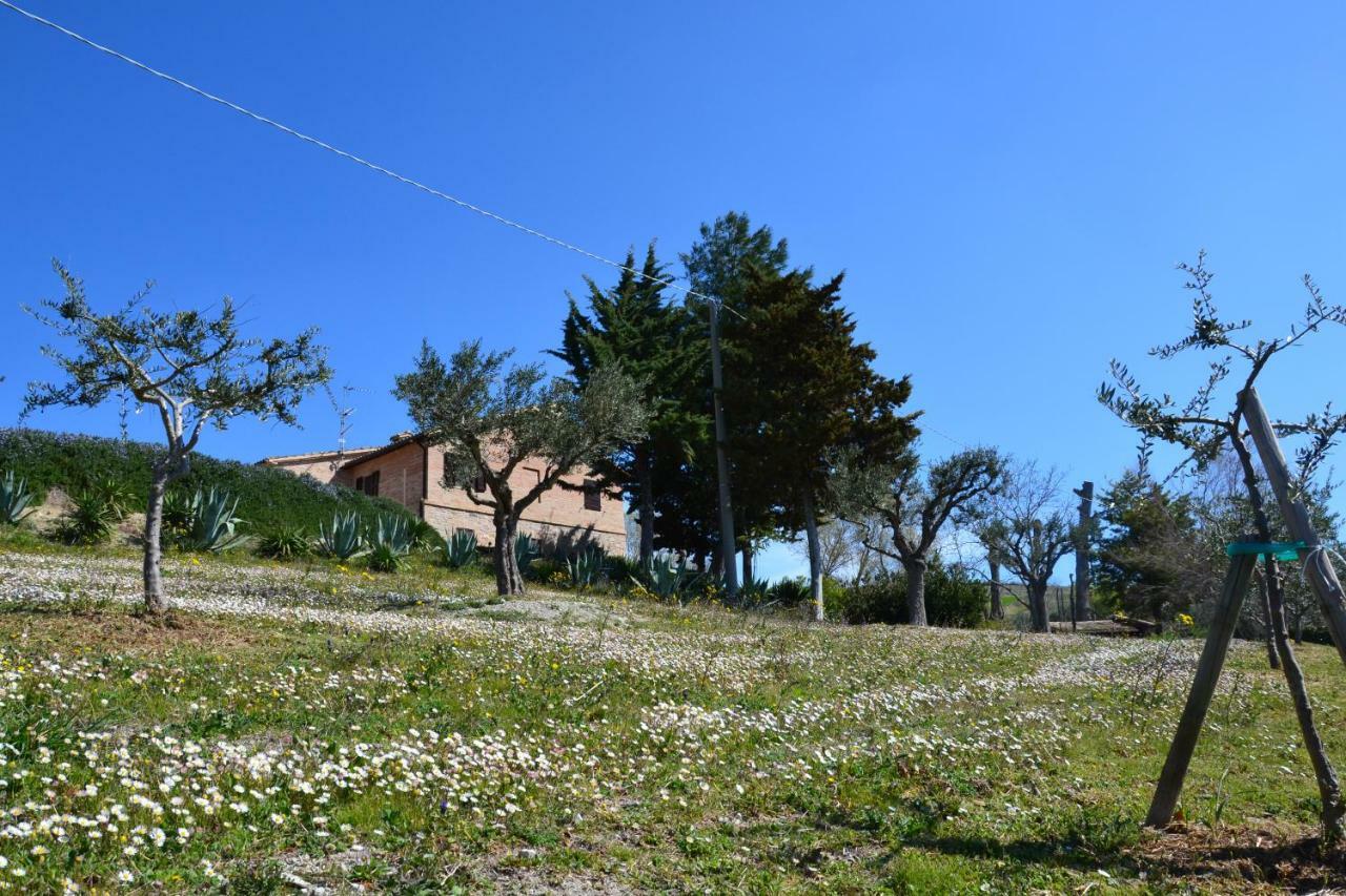 Agriturismo Villa Rosetta San Severino Marche Zewnętrze zdjęcie