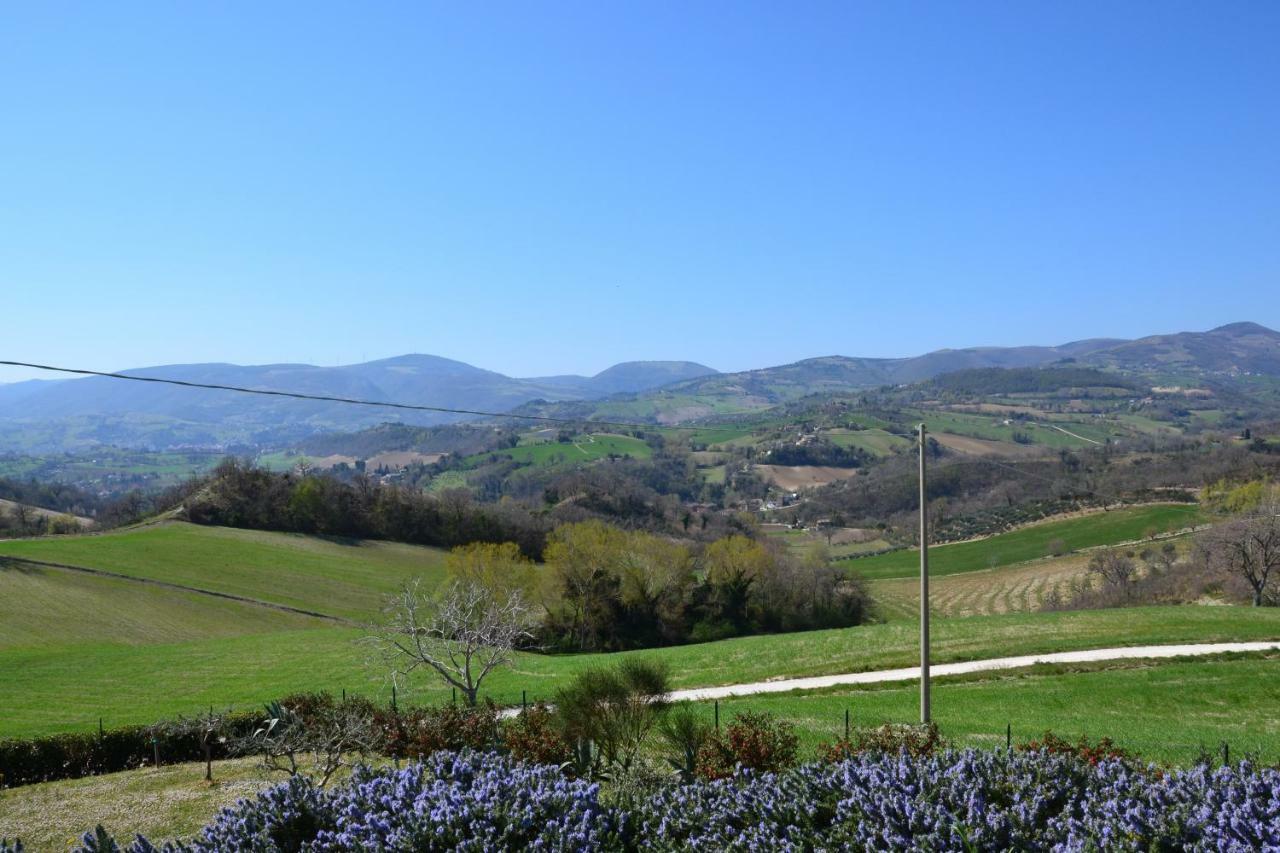 Agriturismo Villa Rosetta San Severino Marche Zewnętrze zdjęcie